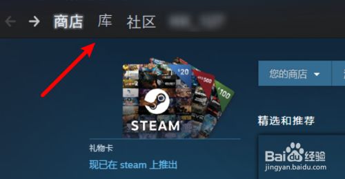 steam怎么隐藏自己拥有的游戏