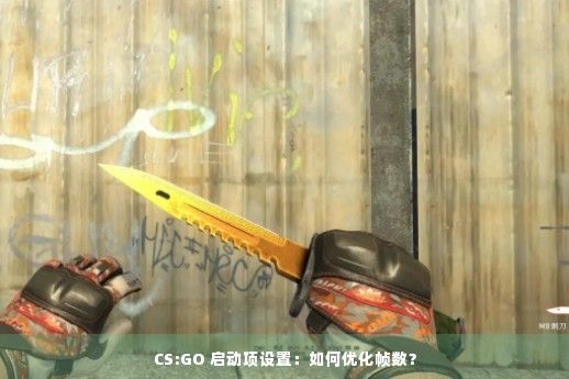 CS:GO 启动项设置：如何优化帧数？