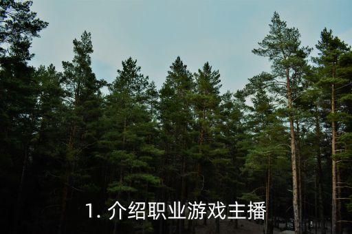 1. 介绍职业游戏主播