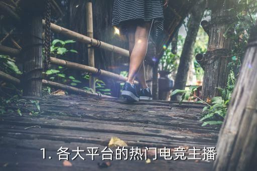 1. 各大平台的热门电竞主播