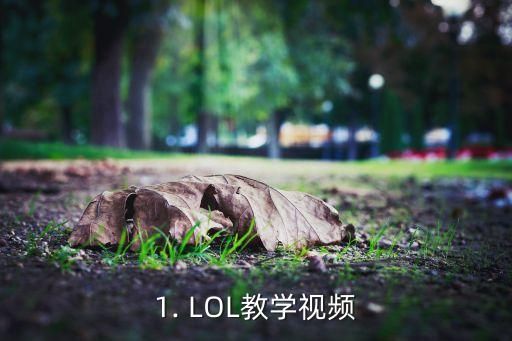 1. LOL教学视频