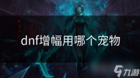 dnf增幅用哪个宠物