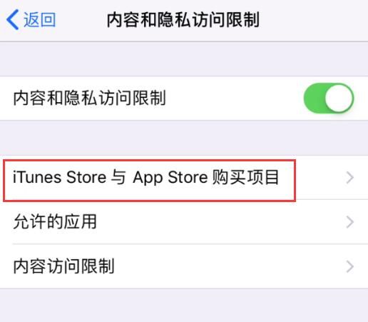 如何在 iPhone 上阻止应用内购项目？