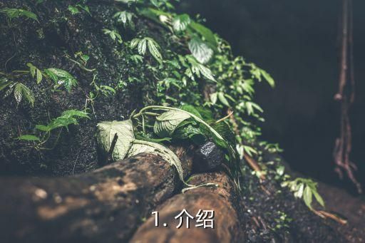 1. 介绍