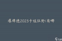 爆牌德2023卡组狂野 有什么强力的套路和策略