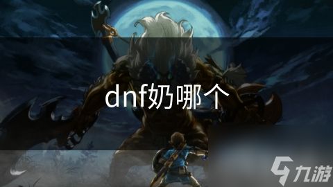 dnf奶哪个