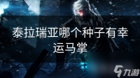 泰拉瑞亚哪个种子有幸运马掌