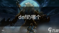 dnf奶哪个