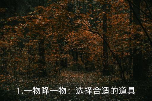 1.一物降一物:选择合适的道具