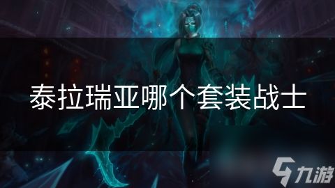 泰拉瑞亚哪个套装战士