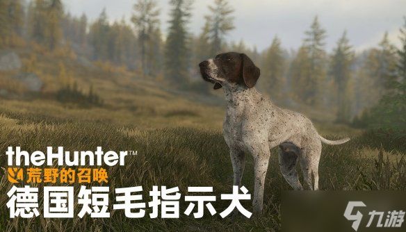 《猎人：荒野的召唤》三款全新DLC已登陆多平台！