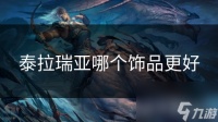 泰拉瑞亚哪个饰品更好