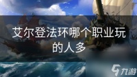 艾尔登法环哪个职业玩的人多