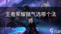 王者荣耀赌气选哪个法师