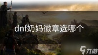dnf奶妈徽章选哪个
