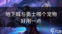 地下城与勇士哪个宠物好用一点