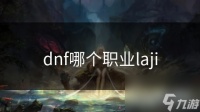 dnf哪个职业laji