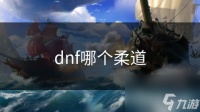 dnf哪个柔道