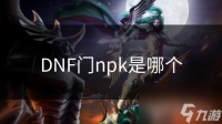 DNF门npk是哪个