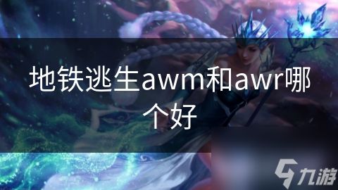 地铁逃生awm和awr哪个好