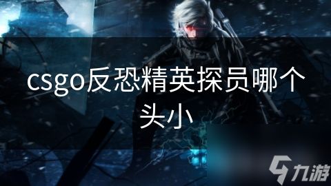 csgo反恐精英探员哪个头小