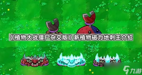 《植物大战僵尸杂交版》新植物磁力地刺王介绍