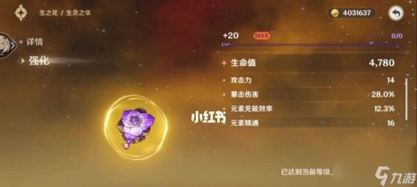 《原神赛诺圣遗物选择推荐指南》（如何选择适合赛诺角色的圣遗物）