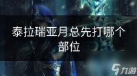 泰拉瑞亚月总先打哪个部位