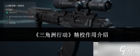 《三角洲行动》精校效果介绍