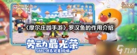 《摩尔庄园手游》罗汉鱼的效果介绍
