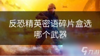 反恐精英密语碎片盒选哪个武器