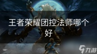 王者荣耀团控法师哪个好