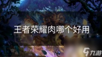 王者荣耀肉哪个好用