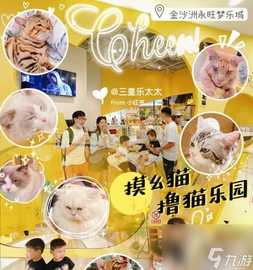 猫之城篁迳月韵怎么样？培养攻略和评价解析