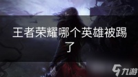 王者荣耀哪个英雄被踢了