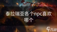 泰拉瑞亚各个npc喜欢哪个