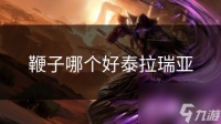 鞭子哪个好泰拉瑞亚