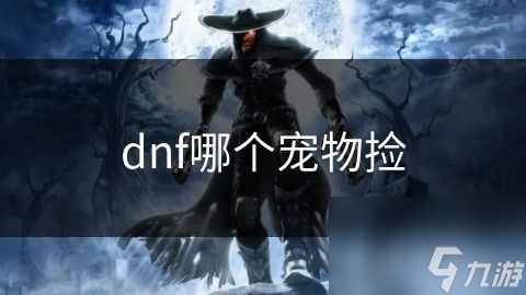 dnf哪个宠物捡