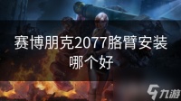 赛博朋克2077胳臂安装哪个好