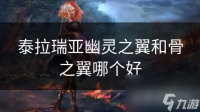 泰拉瑞亚幽灵之翼和骨之翼哪个好