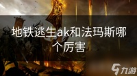 地铁逃生ak和法玛斯哪个厉害