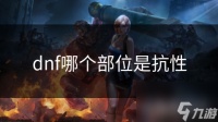 dnf哪个部位是抗性