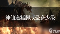 神仙道猪脚成圣多少级