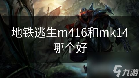 地铁逃生m416和mk14哪个好