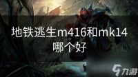 地铁逃生m416和mk14哪个好
