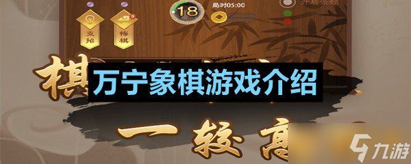 万宁象棋游戏介绍