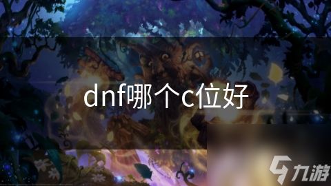 dnf哪个c位好