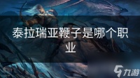 泰拉瑞亚鞭子是哪个职业