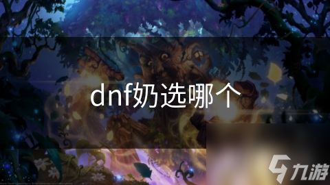 dnf奶选哪个