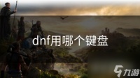 dnf用哪个键盘